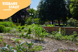 Essbare Stadt